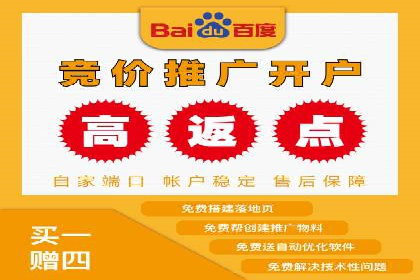SEM广告投放策略：成功案例解析